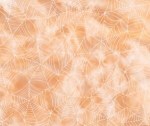 Cobweb Orange